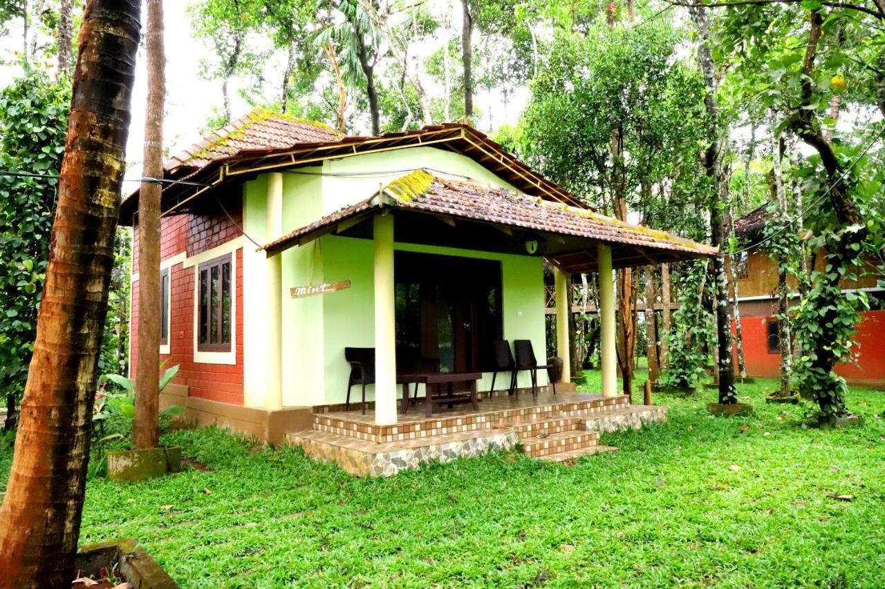 Pepper Green Wayanad Resort With Swimming Pool Kattikkulam Екстериор снимка