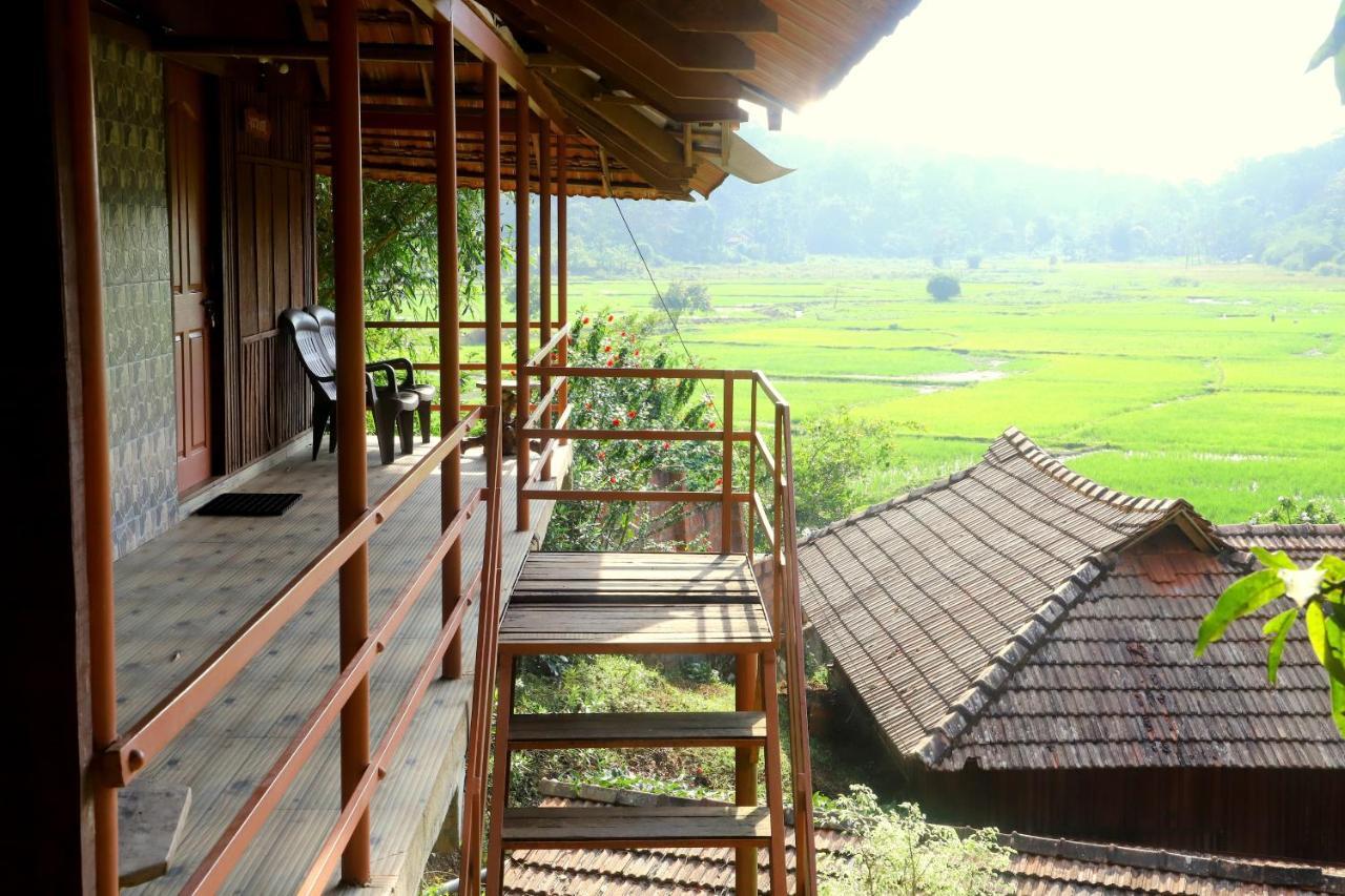 Pepper Green Wayanad Resort With Swimming Pool Kattikkulam Екстериор снимка