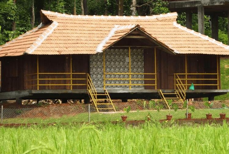Pepper Green Wayanad Resort With Swimming Pool Kattikkulam Екстериор снимка